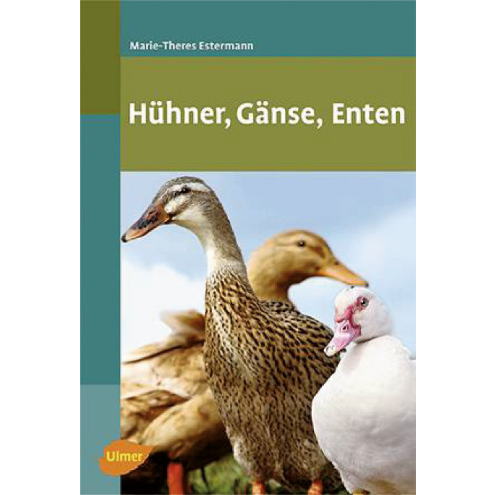 Hühner, Gänse, Enten
