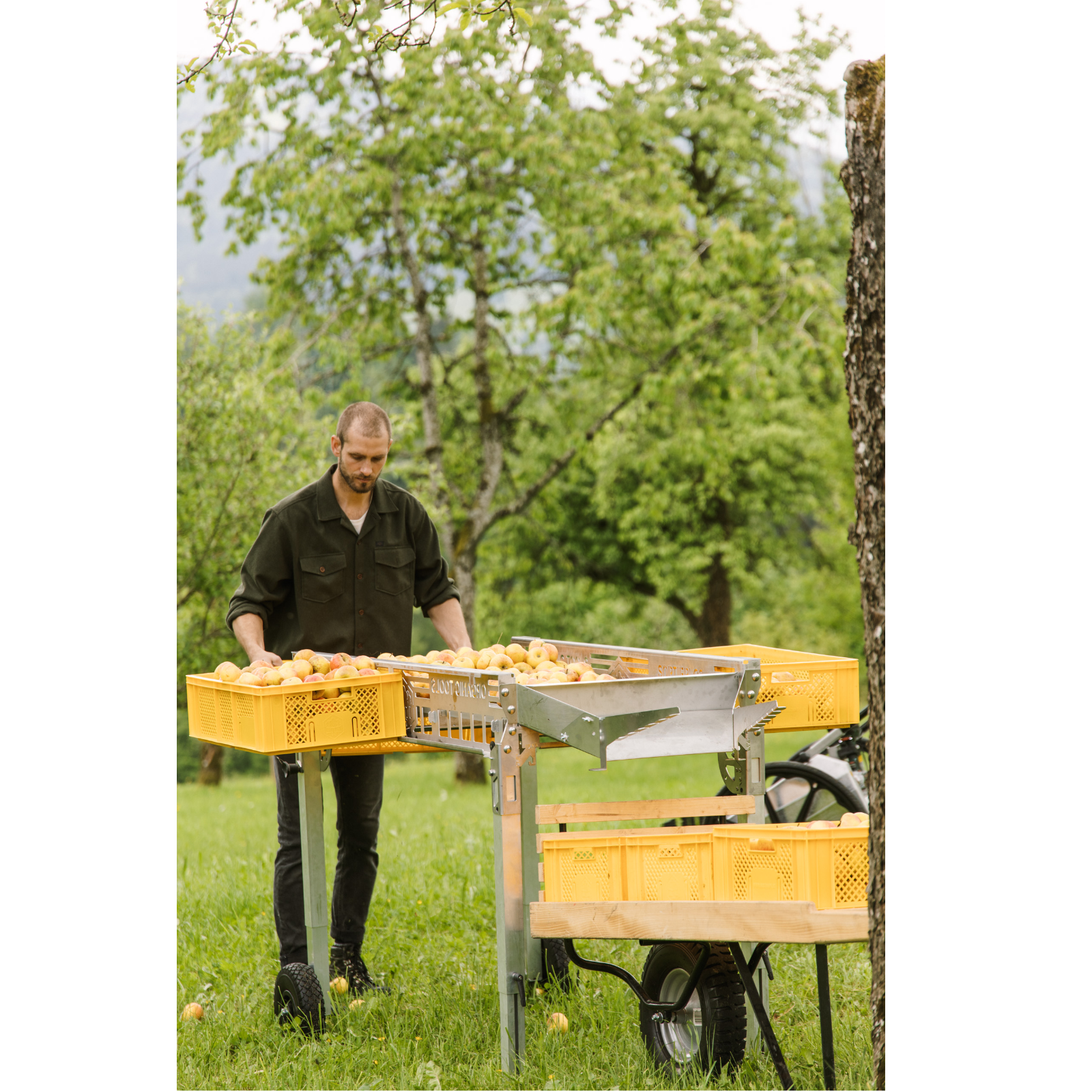 Sackhalter zu Sortier02