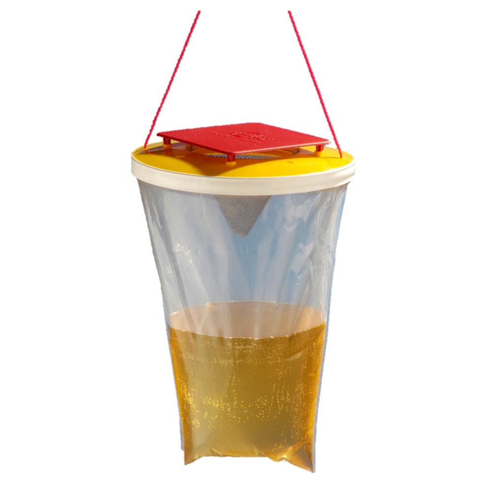 Redtop® Wespenfalle, 3 L Einweg
