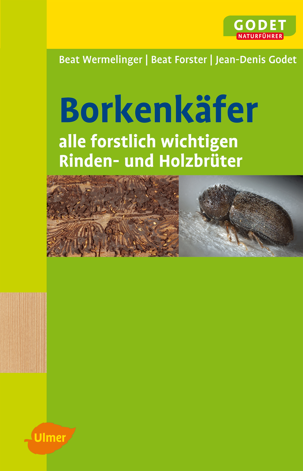 Borkenkäfer