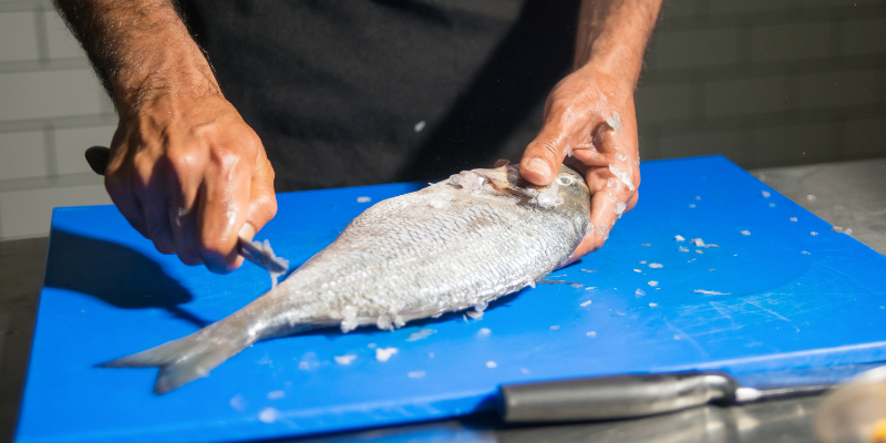Ratgeber_Fisch filetieren