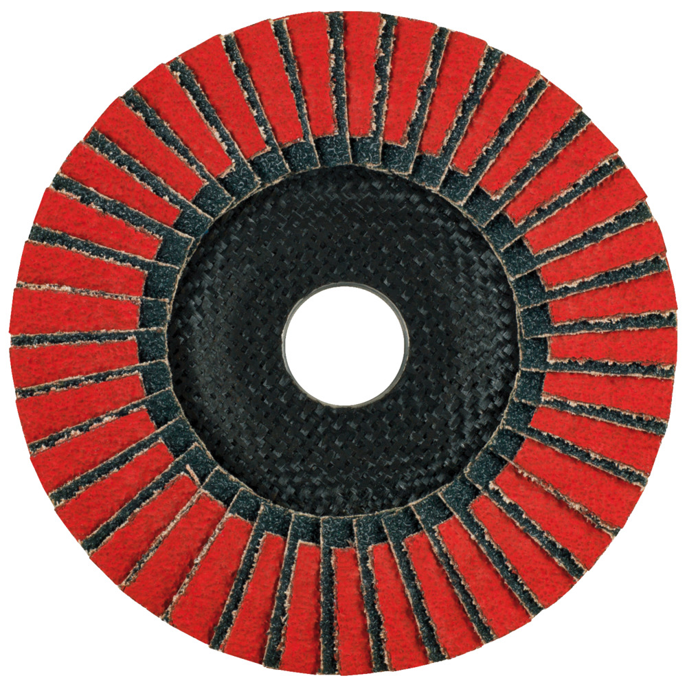 Fächerscheibe TWINFLAP 125 mm