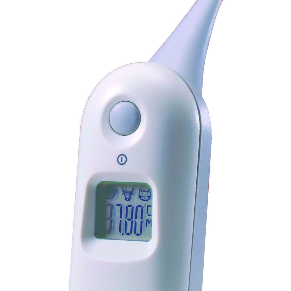 Digital Thermometer
