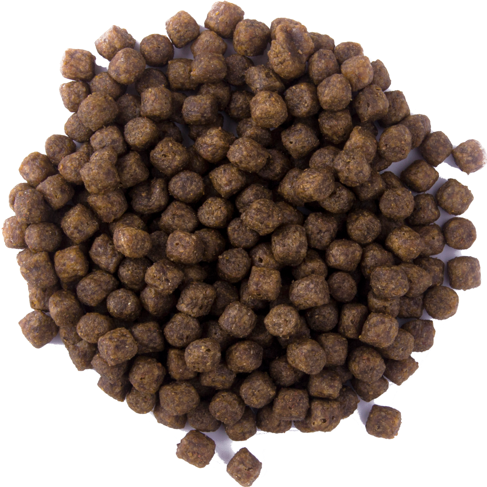 Mastfutter Karpfen Carp Speed schwimmend 15 kg