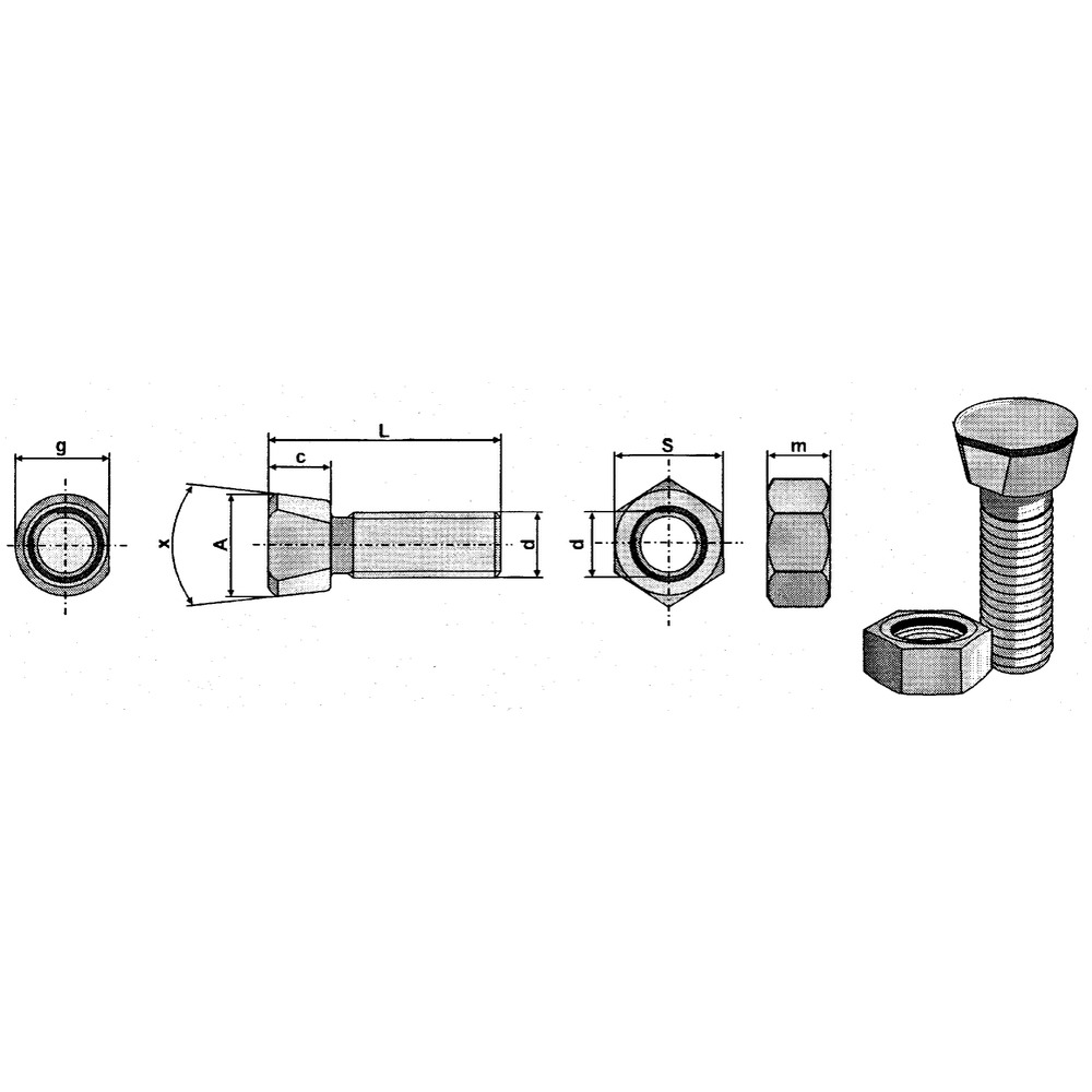 Share screw with oval head
