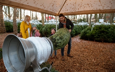 FAIE Weihnachtsbaum Trichter und Netze