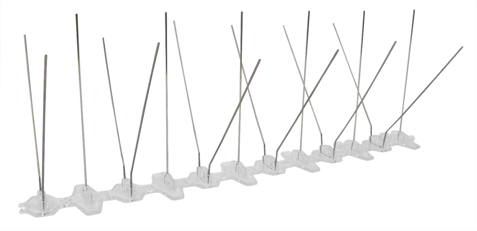 Bird Spikes