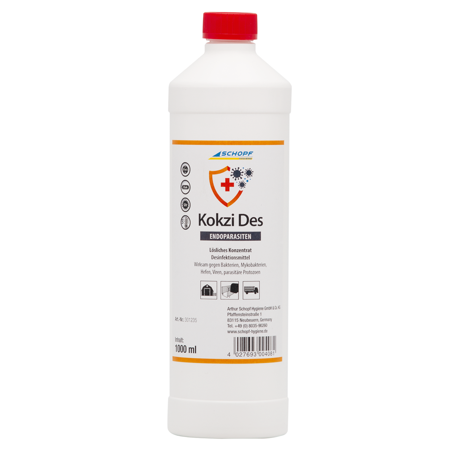 Kokzi Des *