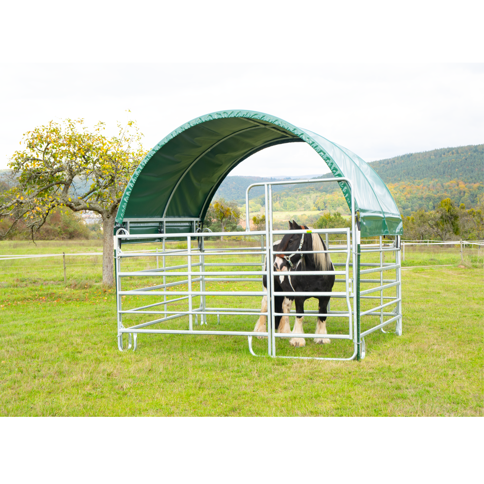 Panel-Dach Compact 6x3,6 m