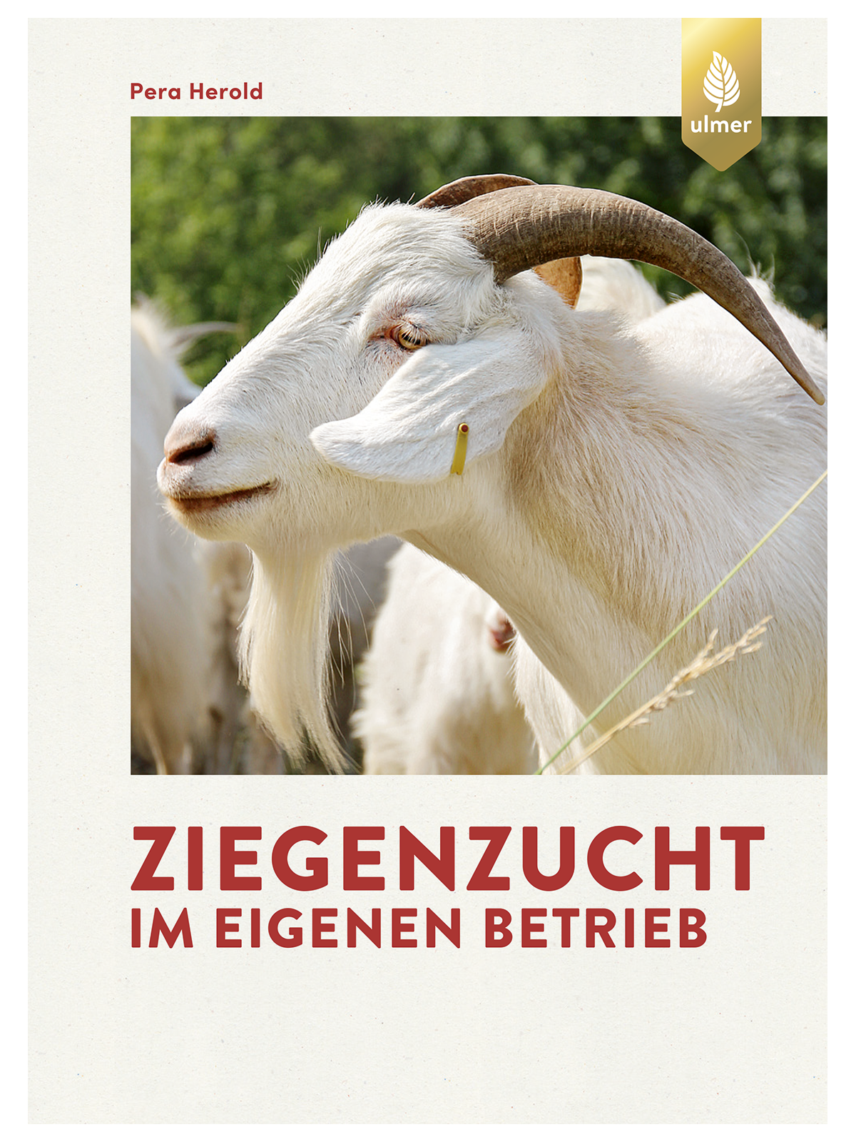 Ziegenzucht im eigenen Betrieb 