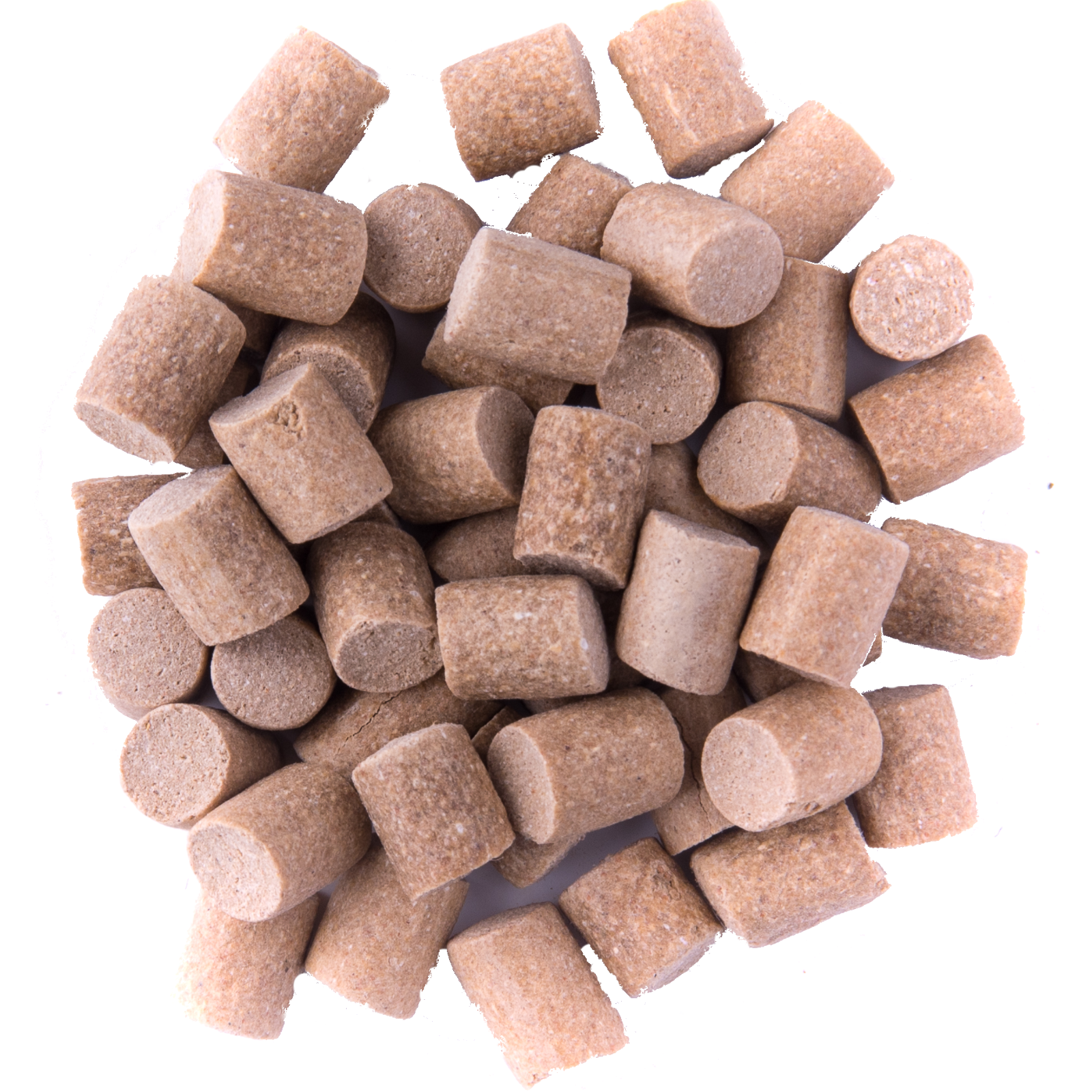 Appât pour carpes Premium Carp