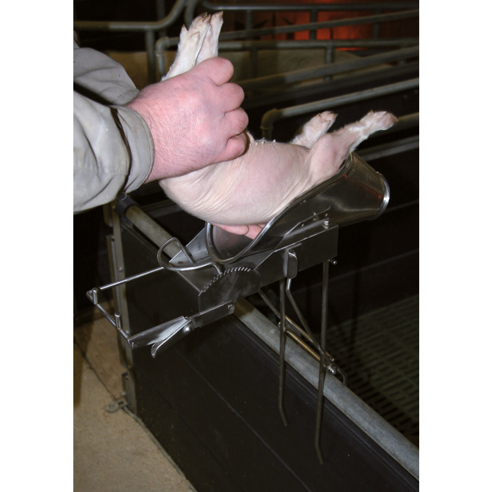 Kastrationsgerät für Ferkel