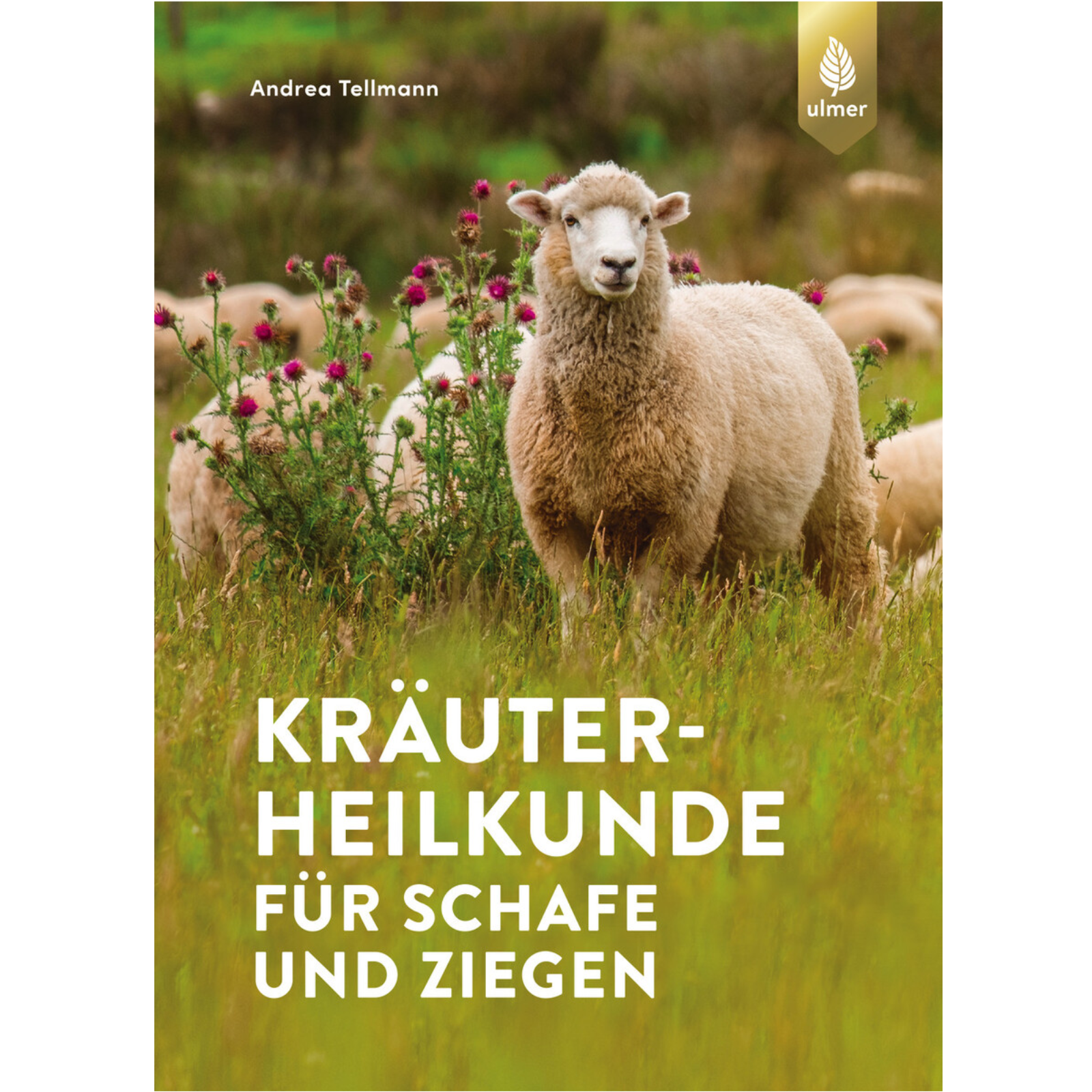  Kräuterheilkunde für Schafe und Ziegen