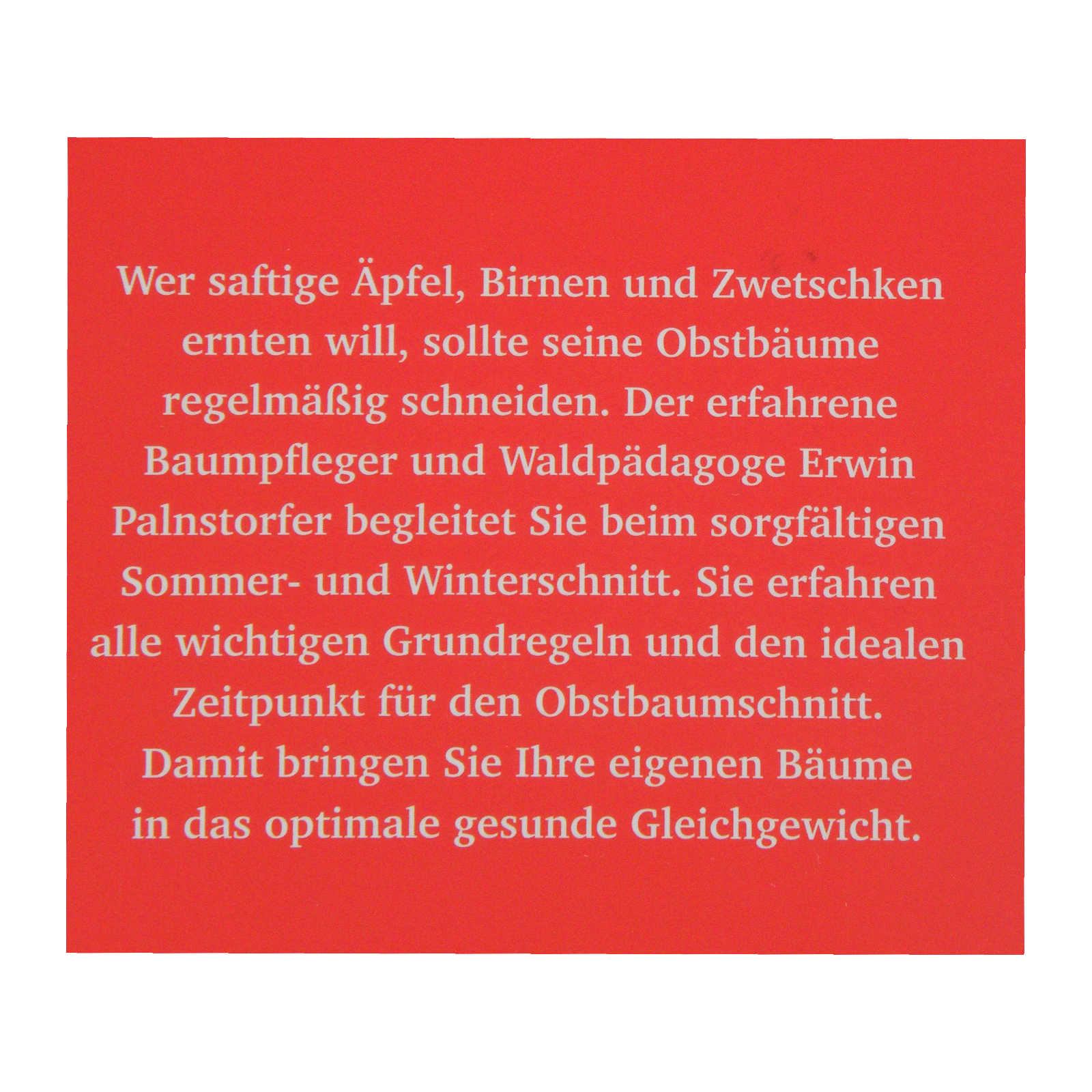 Obstbaumschnitt