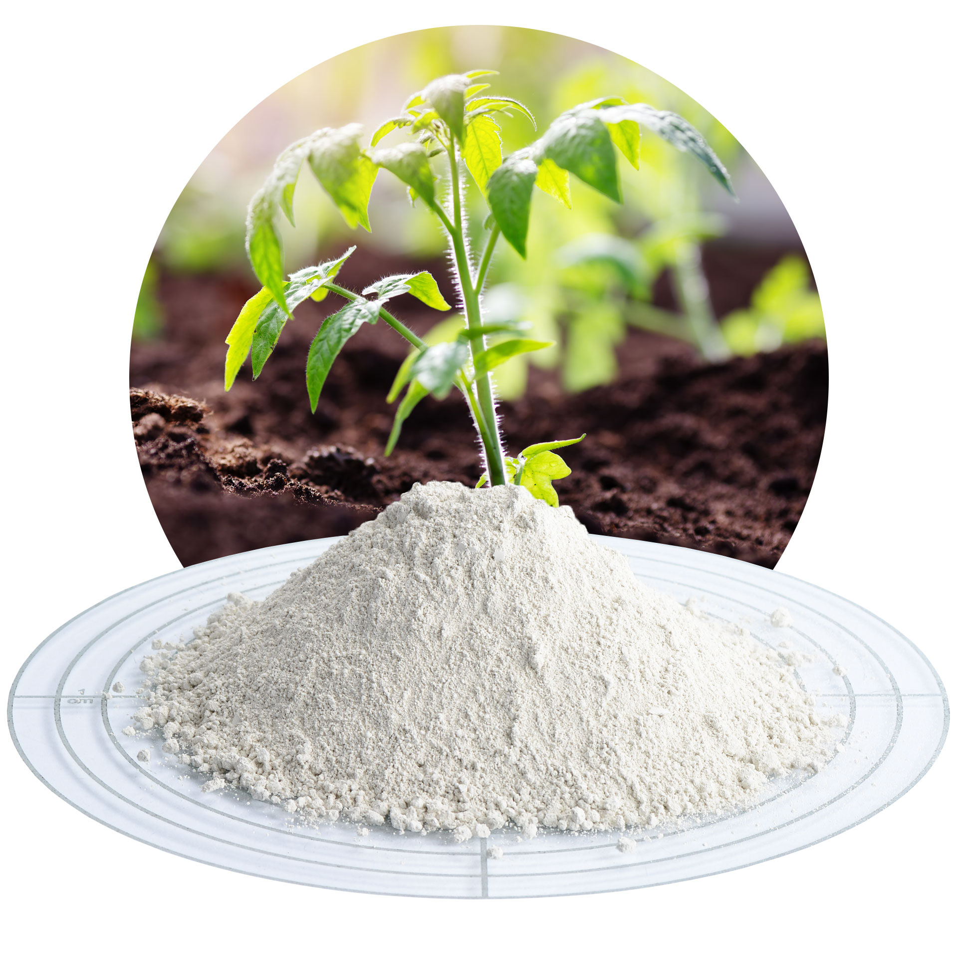 Zeolith-100 0-20 µm - 15 kg Sack