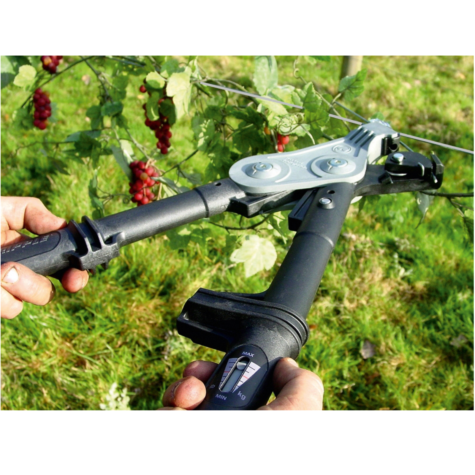 Spannzange Gripple - Spannungsmesser