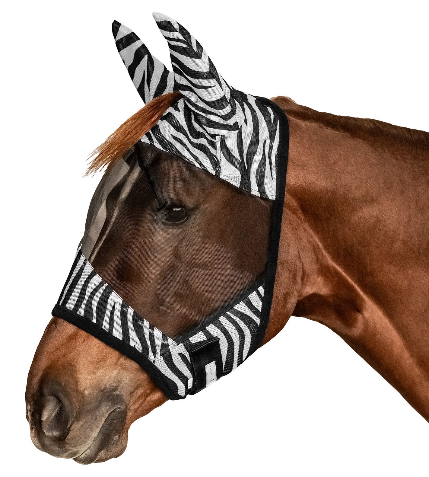 Fliegenmaske Zebra