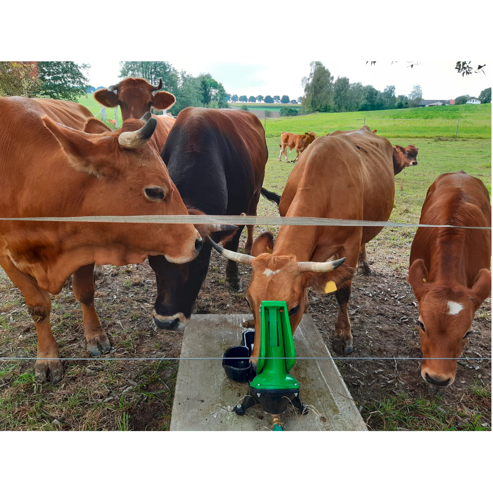 Weidepumpe mit Doppelhubfunktion