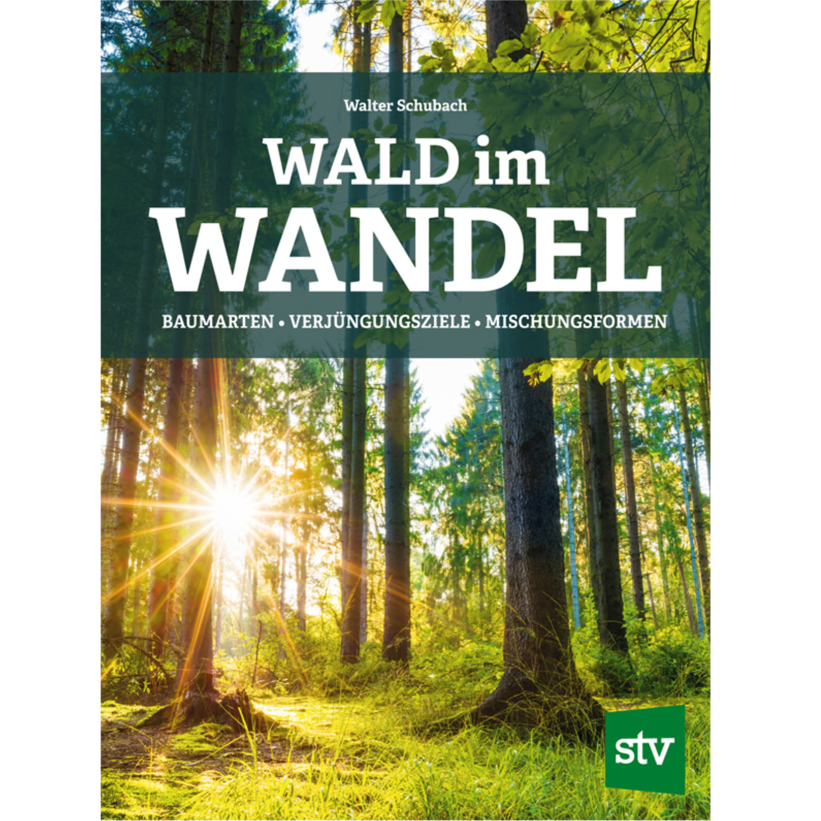  Forest in transition