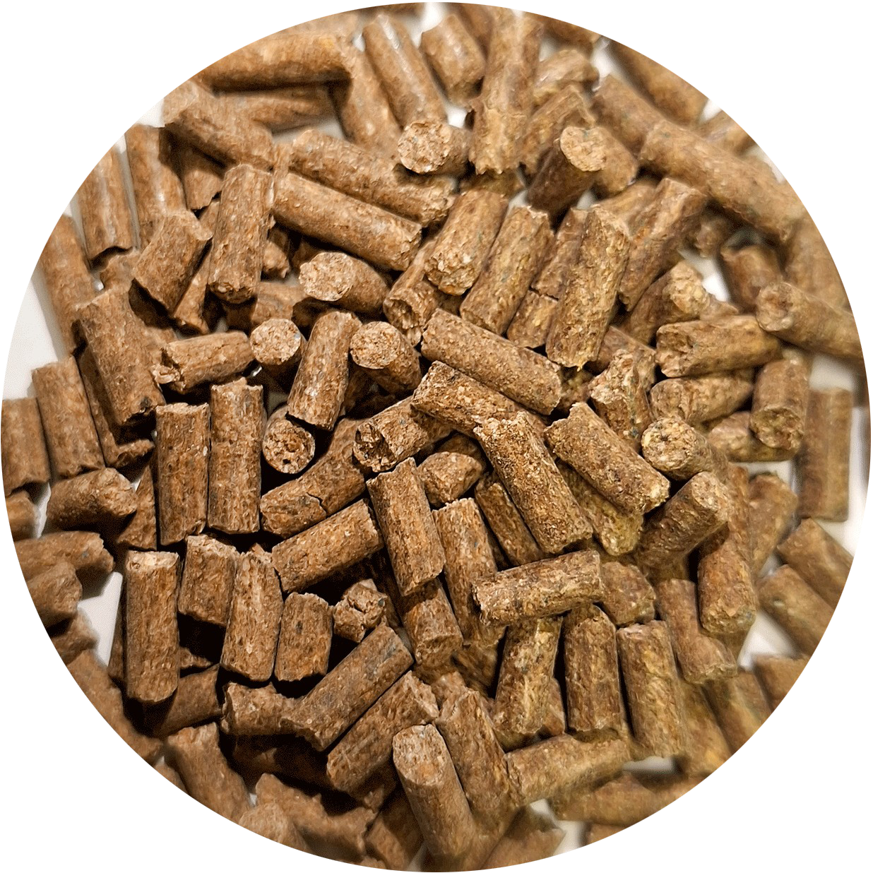 Pferdefutter Gold Mineral