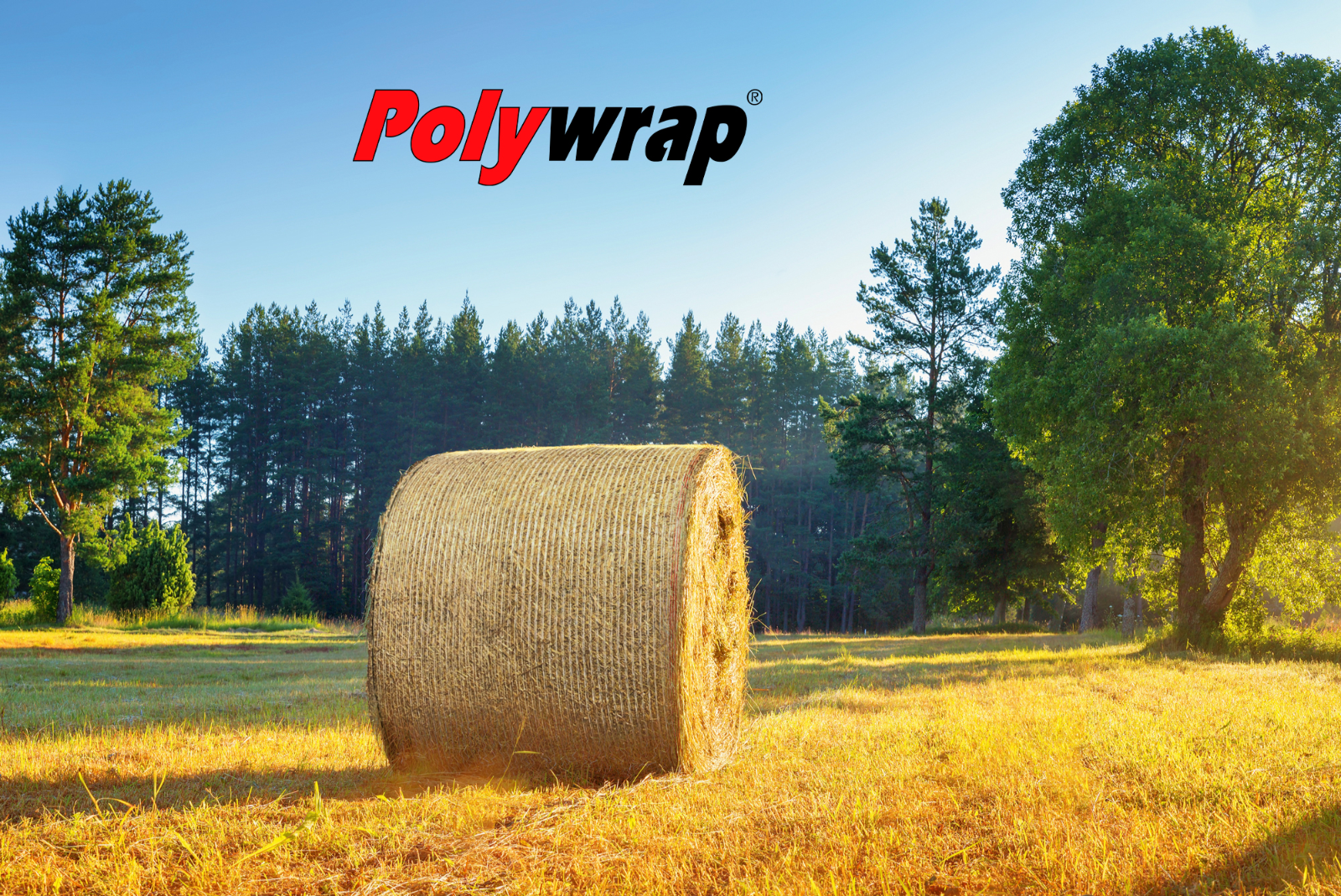 Rundballennetz Polywrap Premium 1,23 x 3.000 m