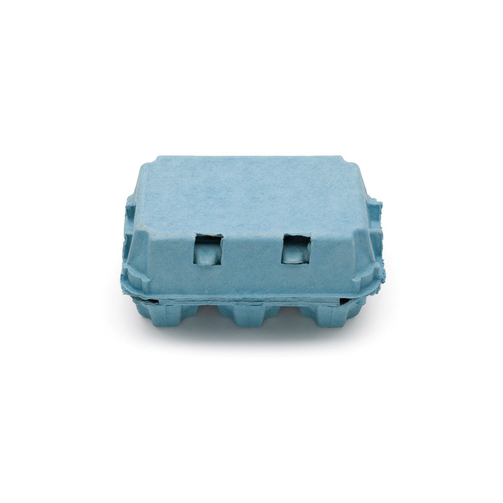 6er Eierschachtel blau