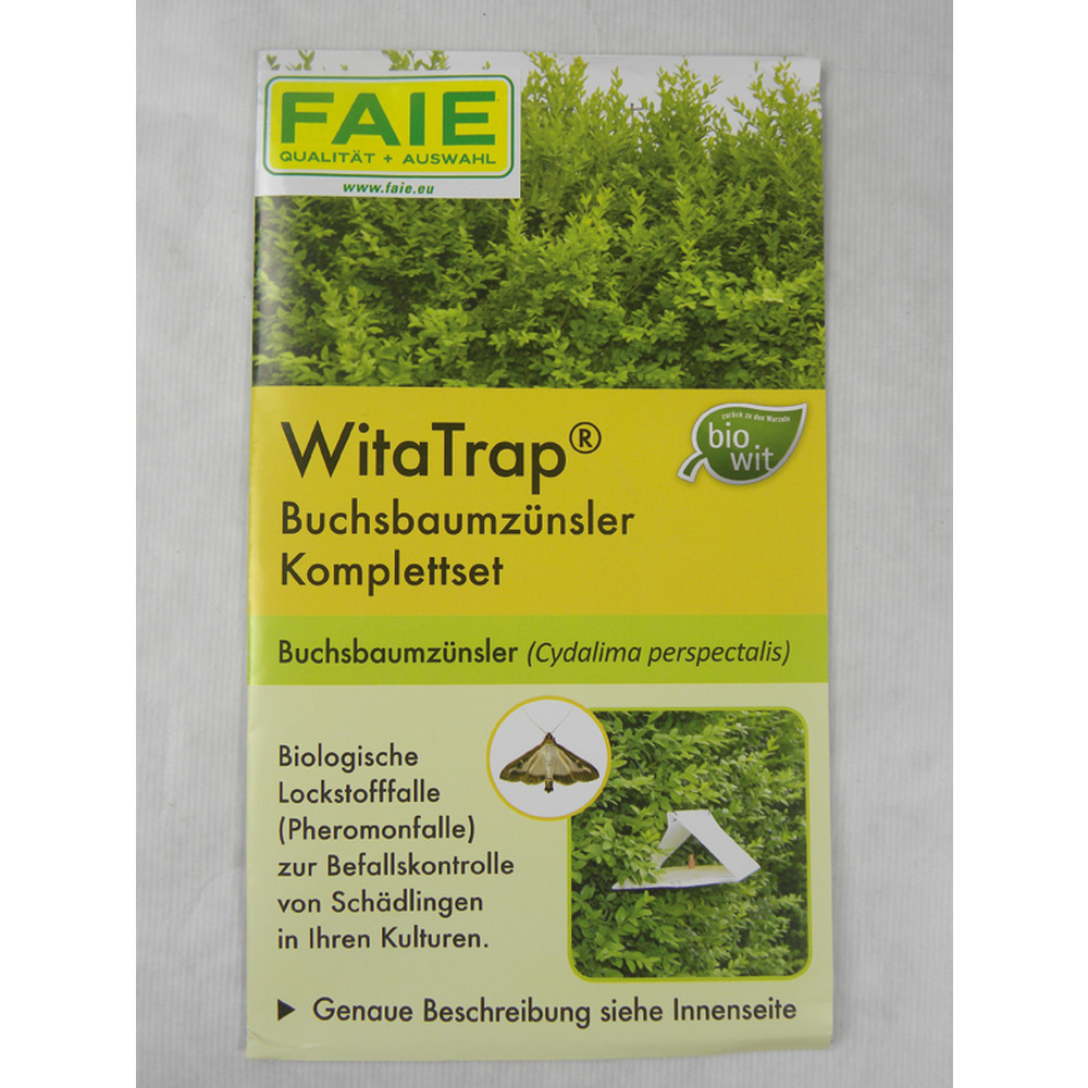 Ensemble complet de teigne du buis (Cydalima perspectalis)