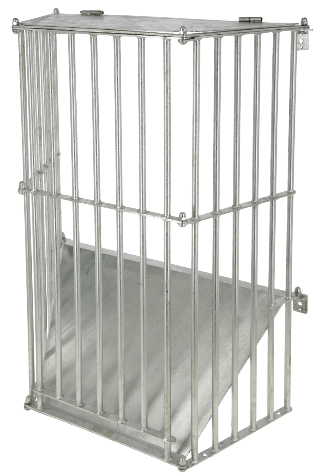 Wandraufe SlowFeed Plus