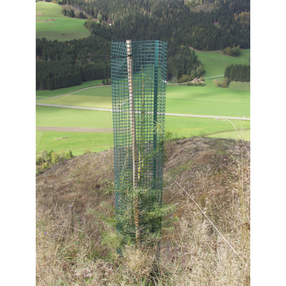 Baumschutzgitter 300 Nadelholz 120 cm