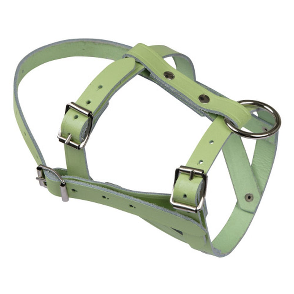 Kopfhalfter aus Leder