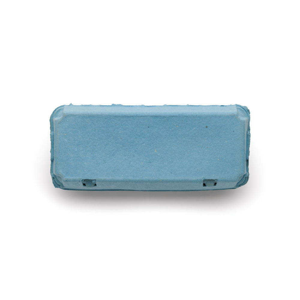 10er Eierschachtel blau