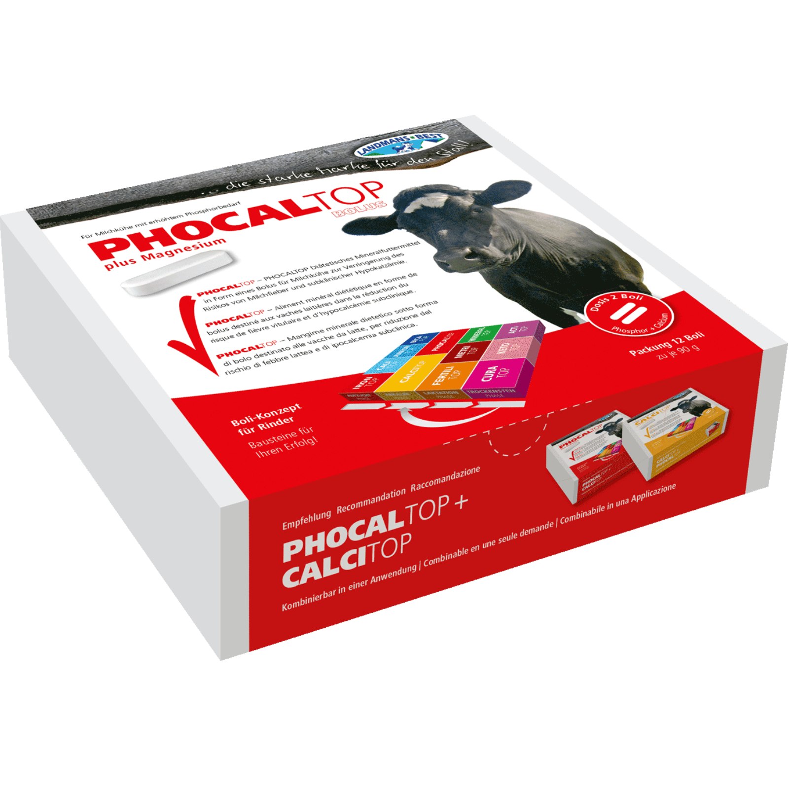 Phocaltop Phosphor Bolus - 12er Box