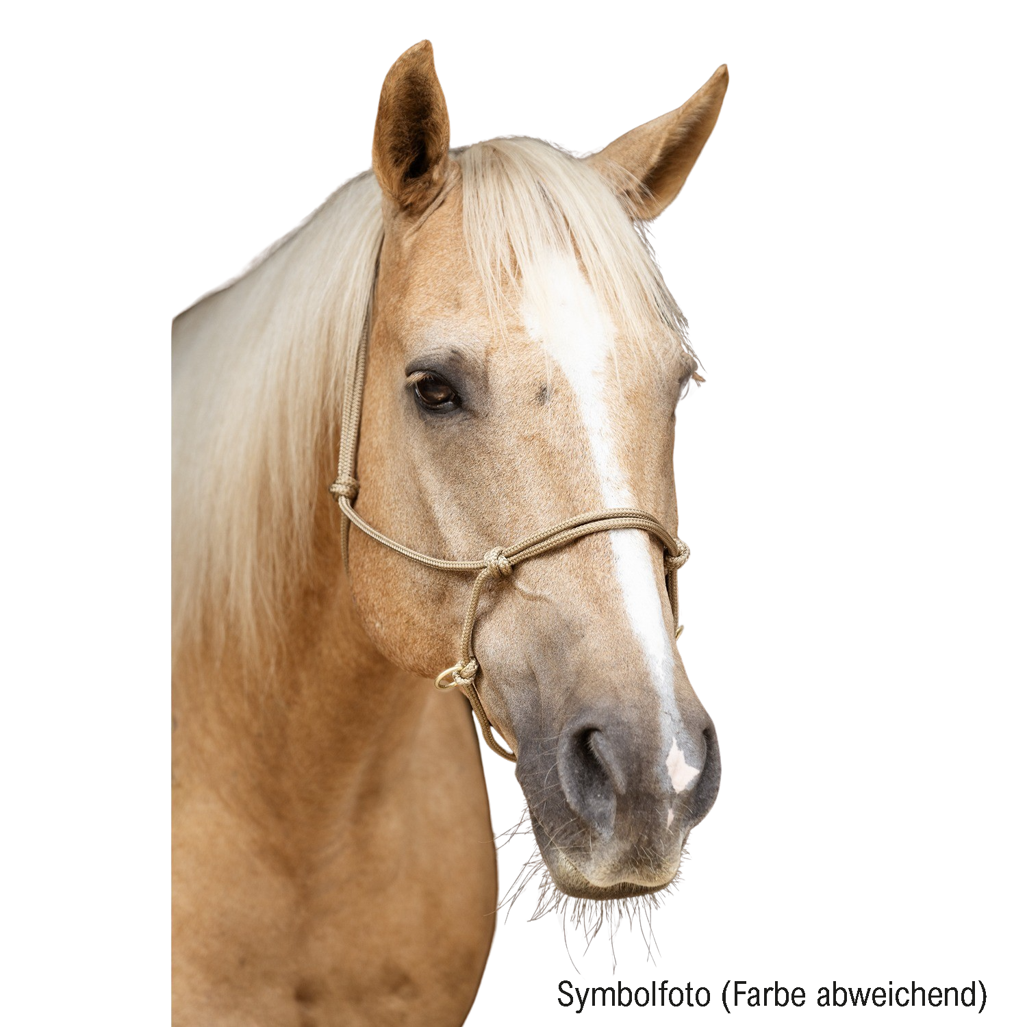 Reithalfter Horsemanship - seitlich mit Messingringen