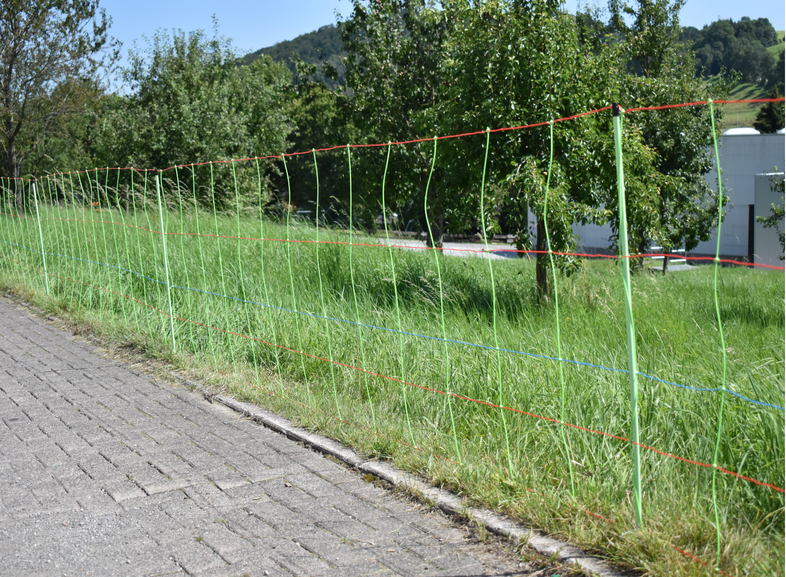 Schafnetz EuroNetz Kombi 50m Doppelspitze