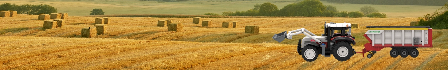 Jetzt NEU - BRIXIES Plus!