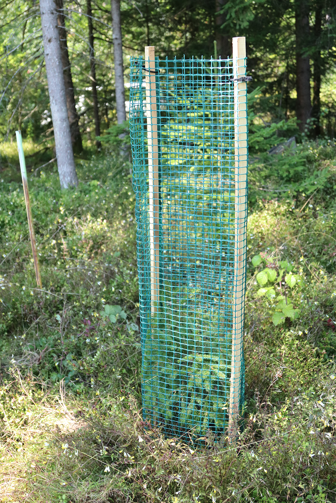 Baumschutzgitter 500 für Tanne und Lärche 120cm