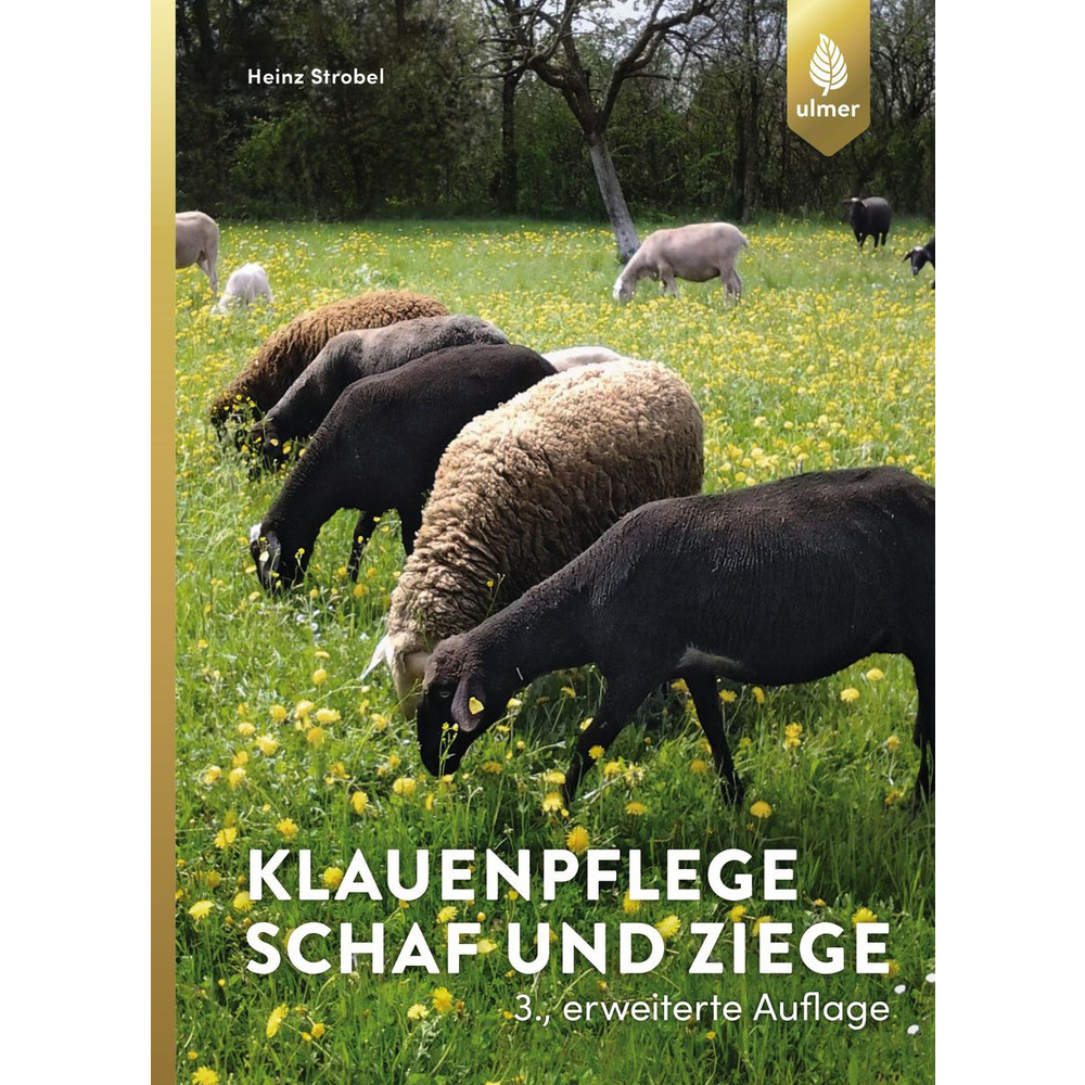 Klauenpflege Schafe und Ziegen