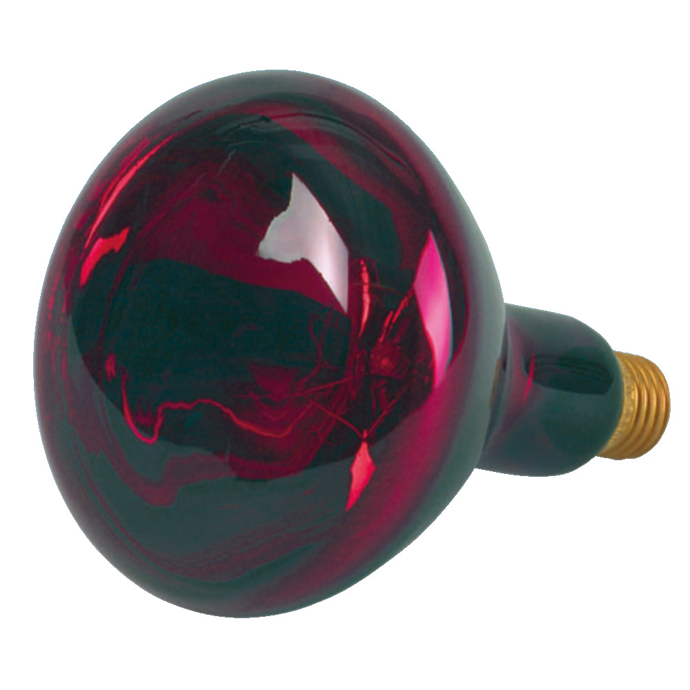 Infrarotlampe