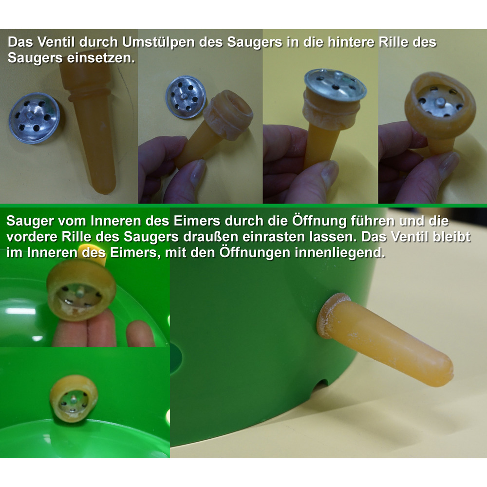 Lammeimer