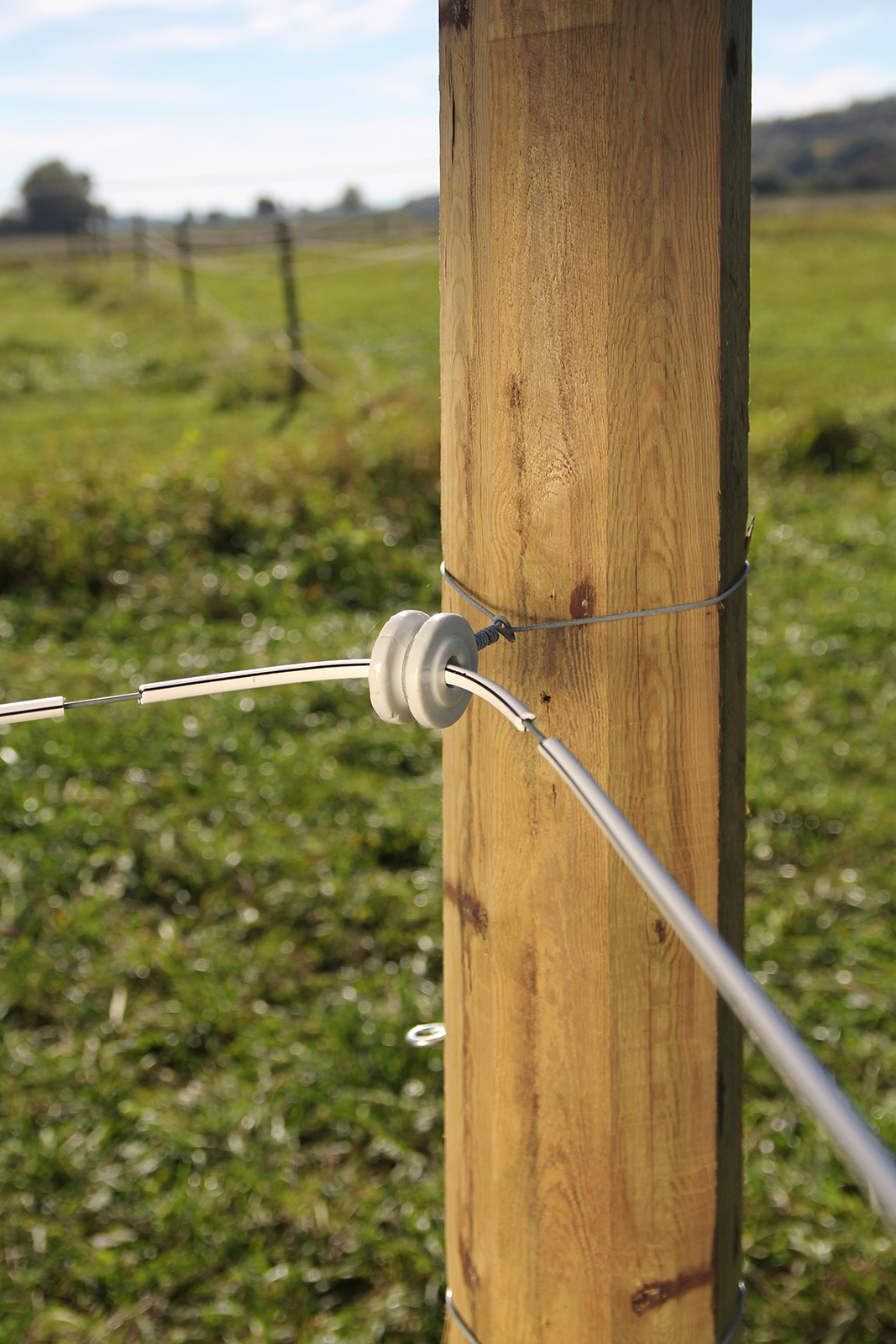 Horse Wire Premium 8 mm / 250 m