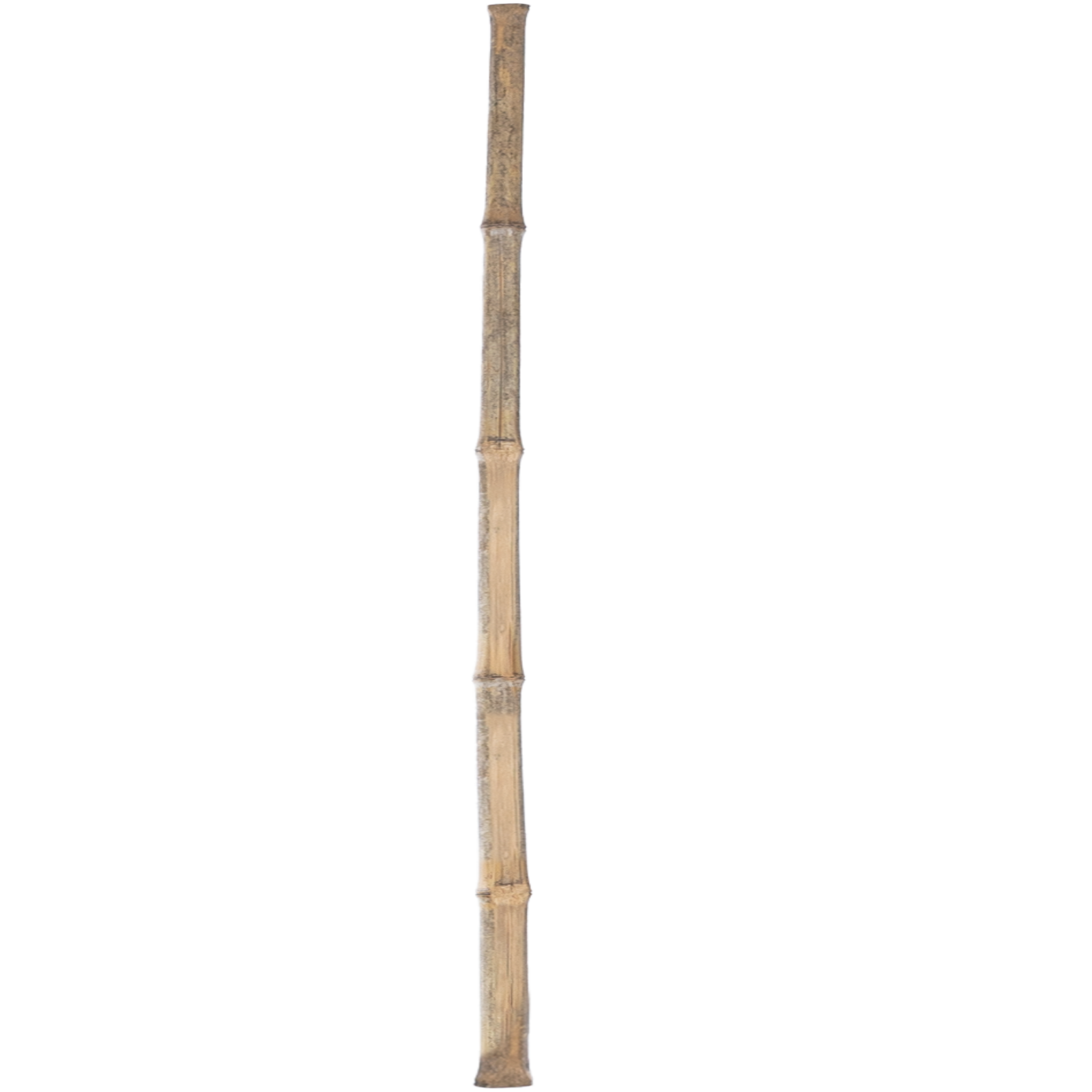 Reisigbesen aus Bambus mit Stiel