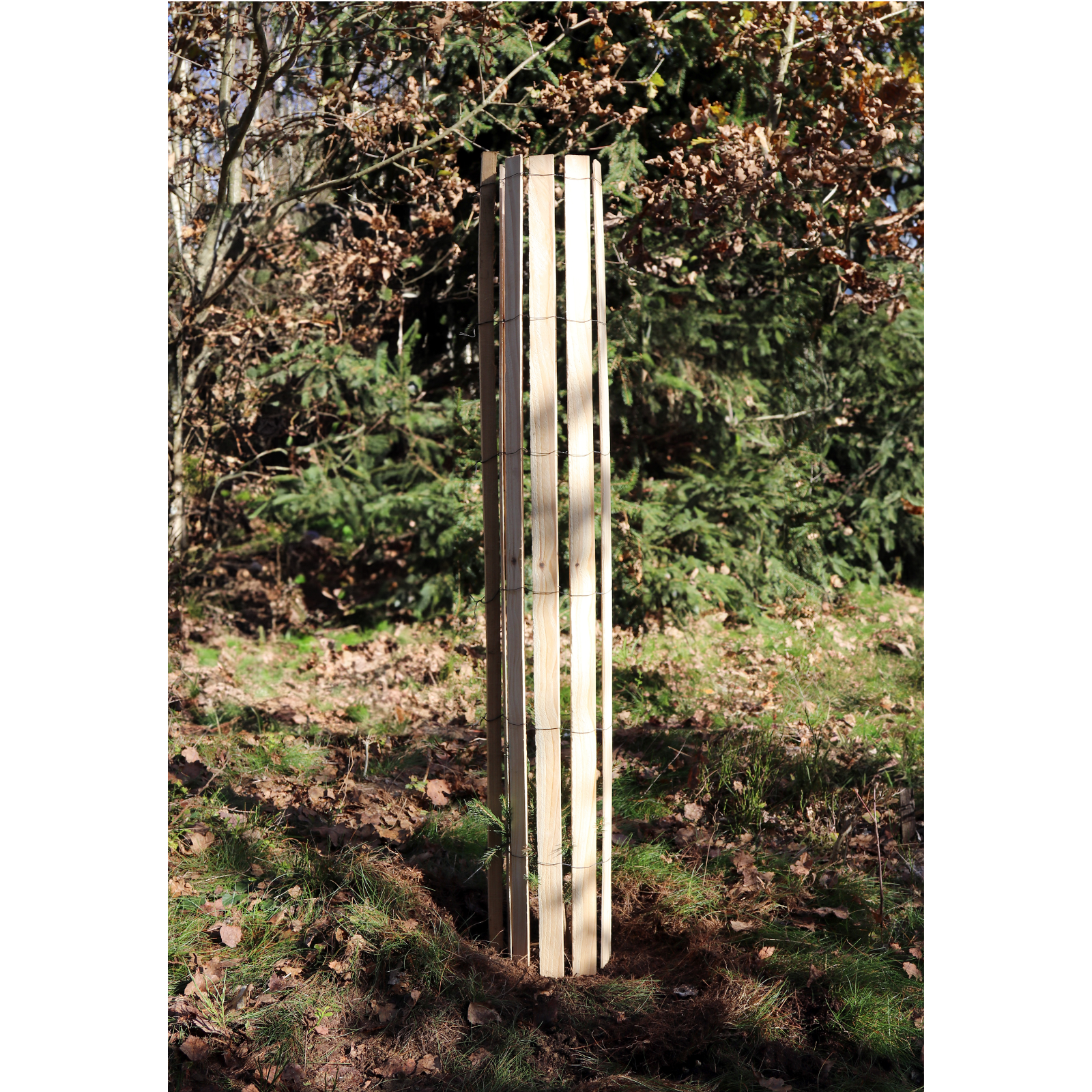 Baumschutz PRO 10m 120cm 1 St