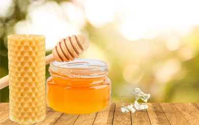 Jetzt NEU im Sortiment!