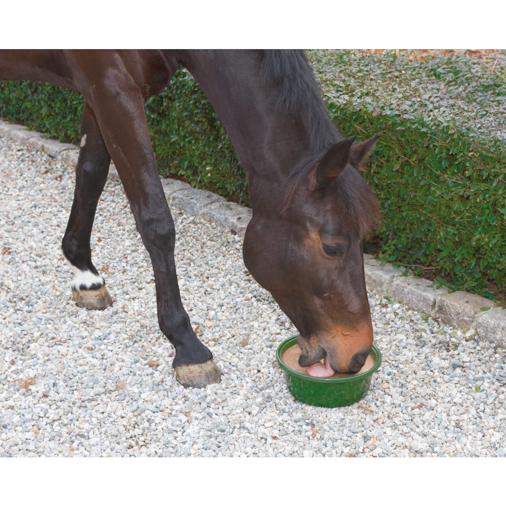 Leckschale Bronchial, 6 kg
