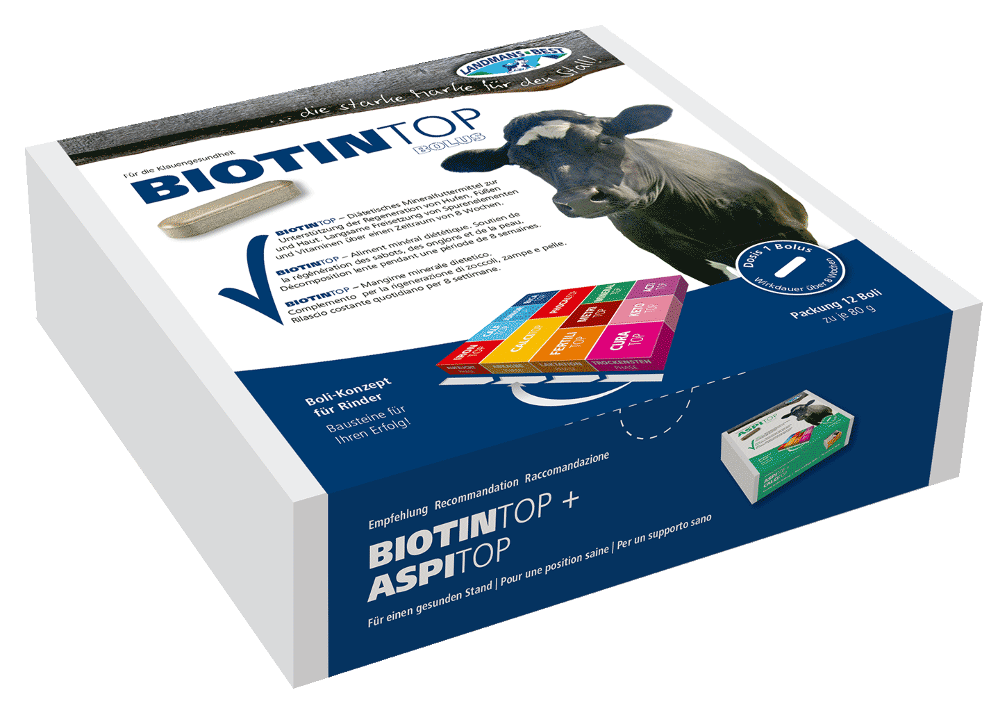 Biotintop Bolus - 12er Box