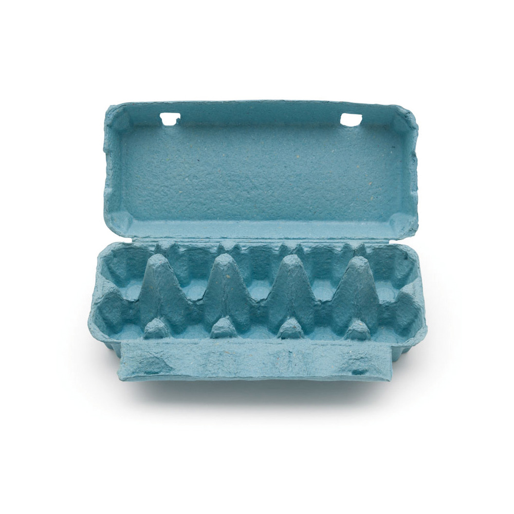 10er Eierschachtel blau