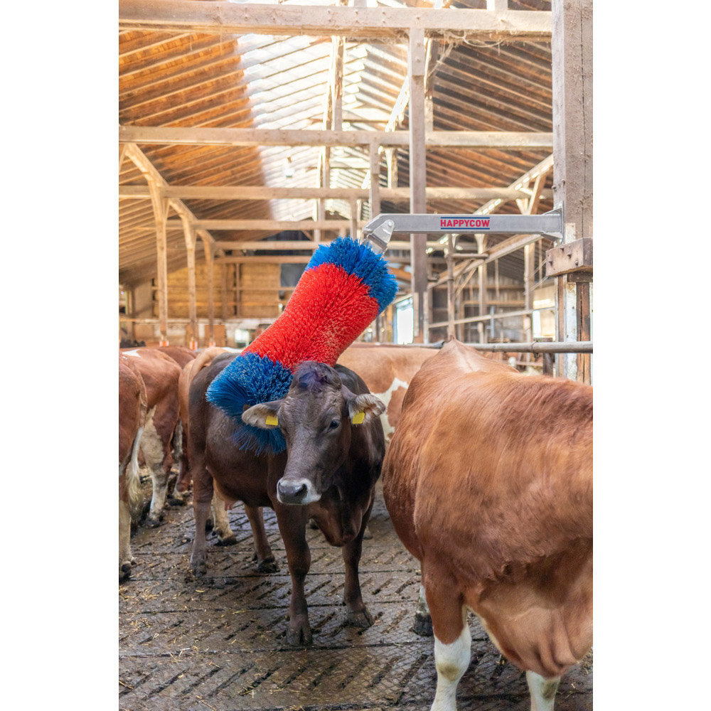 Viehbürste HappyCow Free Maxi