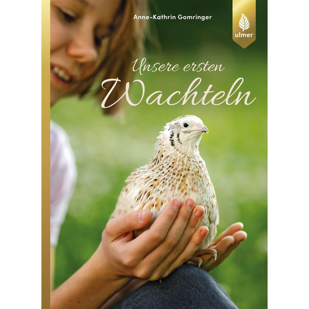 Unsere ersten Wachteln