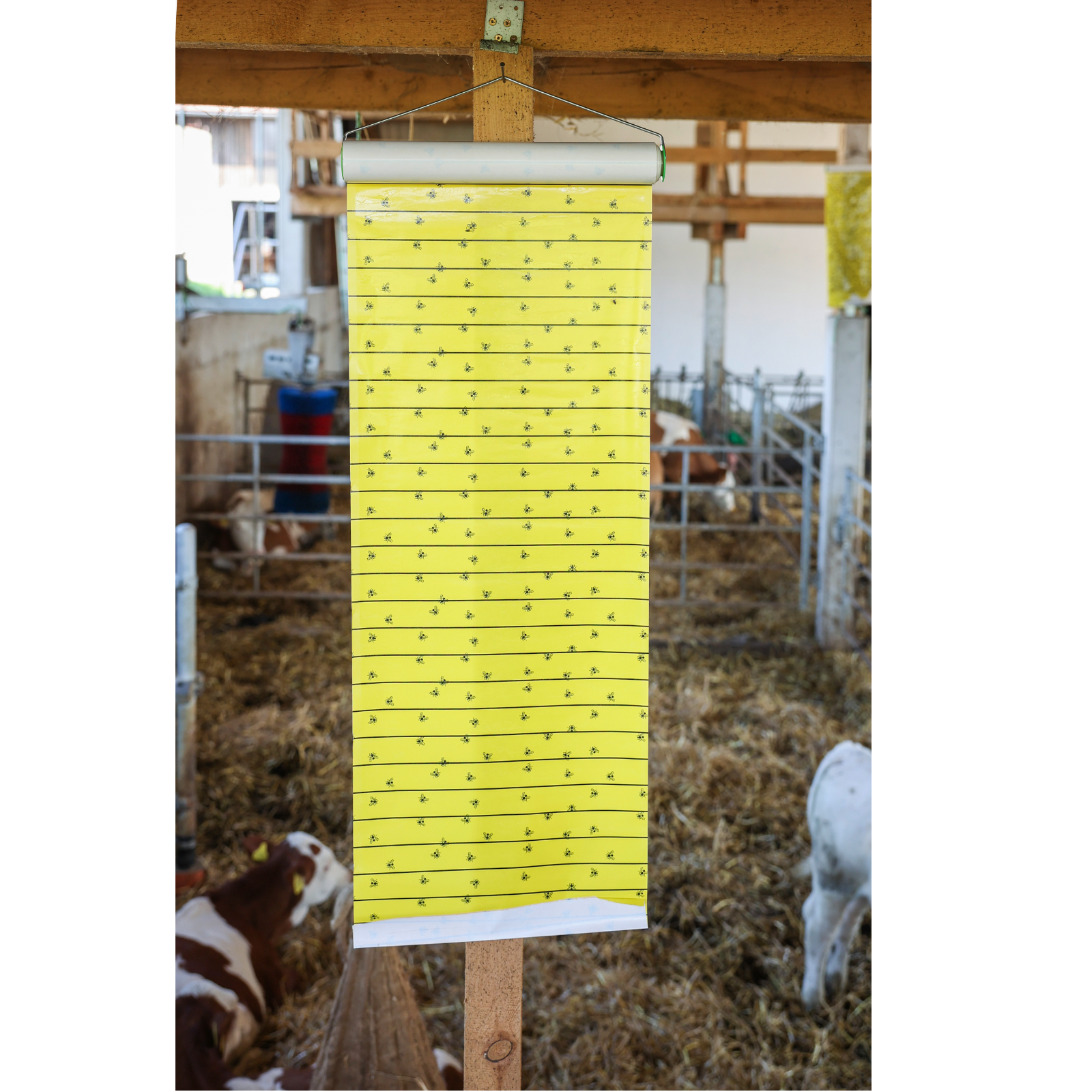Fliegenrolle JumboXL 10 m / 40 cm
