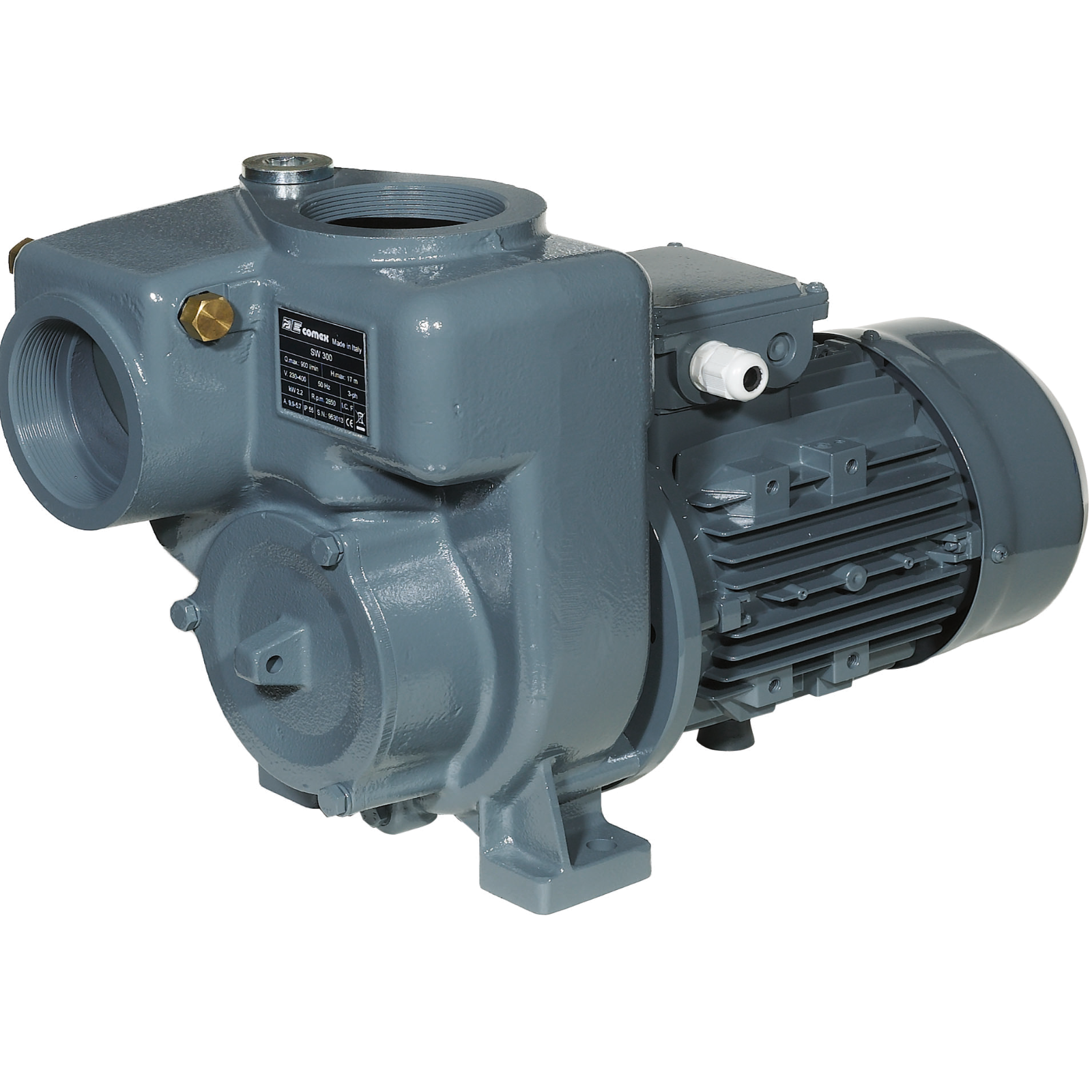Fäkalienpumpe SW300 Selbstsaugend